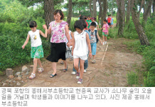 [대구/경북]학교 안의 소나무숲 체험장