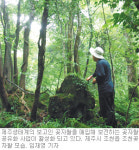 [제주]제주 곶자왈 공유화사업 탄력