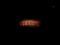 자극적 요소로만 물드는 성인 게임들