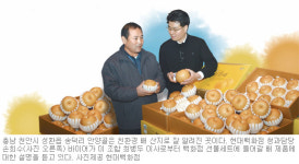 [선물특집]백화점 청과 담당 바이어의 명절용 ‘명품과일’ 찾기