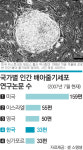 인간 배아줄기세포 첫 등장 10년… 한국 위상 회복중