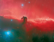 김일순씨 ‘말머리 성운’ 대상