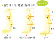 미용실Dr.동안미인 | [Health TOWN]‘백텐의 꽃’ 동안(童顔) 미인의 조건