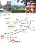[대전/충남]대전시내버스 100배 즐기기<6> 220, 230번