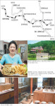 [대전/충남]대전시내버스 100배 즐기기  501, 509번