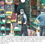 “AI 방역시스템 근본적인 재검토를”