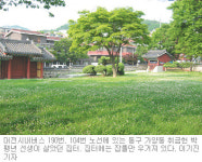 [대전/충남]대전시내버스 100배 즐기기 190, 104번