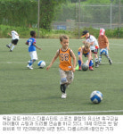 [스포츠 강국을 배운다]<3>독일올림픽체육연맹