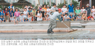 [인천/경기]그곳에 가면/지난달 개관 소래습지생태공원