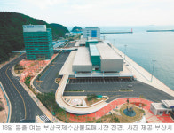 [부산/경남]부산 수산물도매시장 내일 ‘펄떡’