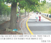 [대전/충남]인도 가로막은 가로수