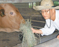 [광주/전남]이 사람/‘유기 한우’ 1마리 1830만원 판매 한창본 씨