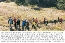 [김화성 스포츠전문기자의 &joy]구룡령 옛길 걷기