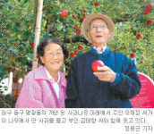 [대구/경북]70여년 변함없는 ‘풍성한 가을’