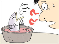 [경제카페]씨 마른 명태… 서해로 간 오징어