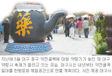[대구/경북]한약 내음에 취하고… 역사 향기에 취하고…