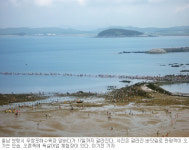 [대전/충남]바닷길 열리면 색다른 세상 만난다