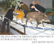 [인천/경기]‘선사시대 검단’엔 어떤 사람이 살았나
