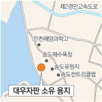 [인천/경기]송도 대우자판 용지 53만㎡ 개발 착수