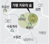[수도권]“가평 잣나무숲서 심신 치유를”