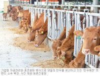 “농장도 공장처럼” 기업형 농가, 글로벌 경쟁력 열매 딴다