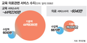 병원-학교 ‘주식회사 허용’ 이달말 결론