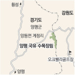[수도권]국내 최초 국유수목장림 5월 경기도 양평서 첫선