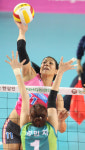 카리나-김연경 ‘쌍 거미’ 주유소 습격사건