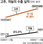 고추-마늘 수출 쑥… 매운맛 보여줬다