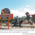 [제주]제주 애월읍 어린이모험랜드 개장