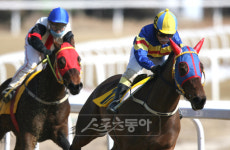 박태종 1500승 대기록 눈앞