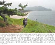 [김화성 전문기자의 &joy]폭신한 해변-알싸한 숲길…