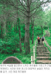 [제주]제주 숲 오름걷기… 새 ‘올레’ 올래요?