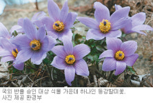 정부승인 필요 생물자원 환경부 1141종으로 늘려
