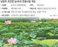 역발상으로 피운 ‘희망 연꽃’
