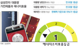 에너지 효율 높으니 세금 더 내라?