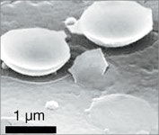 김광수 교수 개발 ‘나노렌즈’ 논쟁 뜨겁다