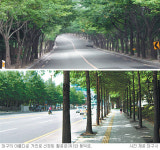 [대구/경북]대구 팔공로-동덕로 ‘아름다운 거리’ 선정