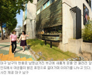 [대구/경북]‘머물고 싶은 거리’ 된 대구 현충로