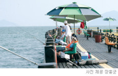 [광주/전남]전남 유료 해상낚시터 지역경제 효자