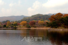 [여행] 테마파크 ‘꽃’에 취하다…