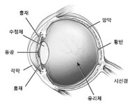 [헬스&뷰티]눈과 카메라, 어쩜 이렇게 비슷할까!