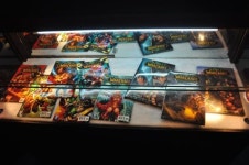 사진으로 만나는 2009 월드 오브 워크래프트 챔피언십 카니발-3