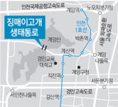 [인천/경기]인천 계양구 경명로 ‘징매이고개 생태통로’ 가보니