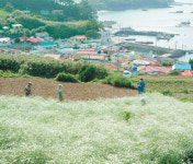 [부산/경남]통영-산청-남해에 친환경 녹색마을