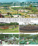 [도시, 정원을 꿈꾸다]세미원(테마정원·끝)