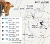 구제역 ‘포천 존’ 뚫렸다