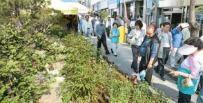 [대구/경북]350년 전통 약령시, 대구 명물로 키운다