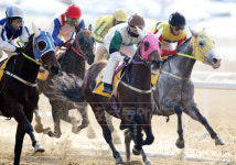 “경마장의 모든 고객을  왕처럼 모시겠습니다”