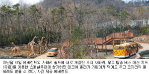 [Leisure]기린과 눈 맞추고… 얼룩말에 먹이 주고… 동물원의 살가운 진화